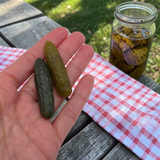 Natural Jade Gherkin Carved Crystal
